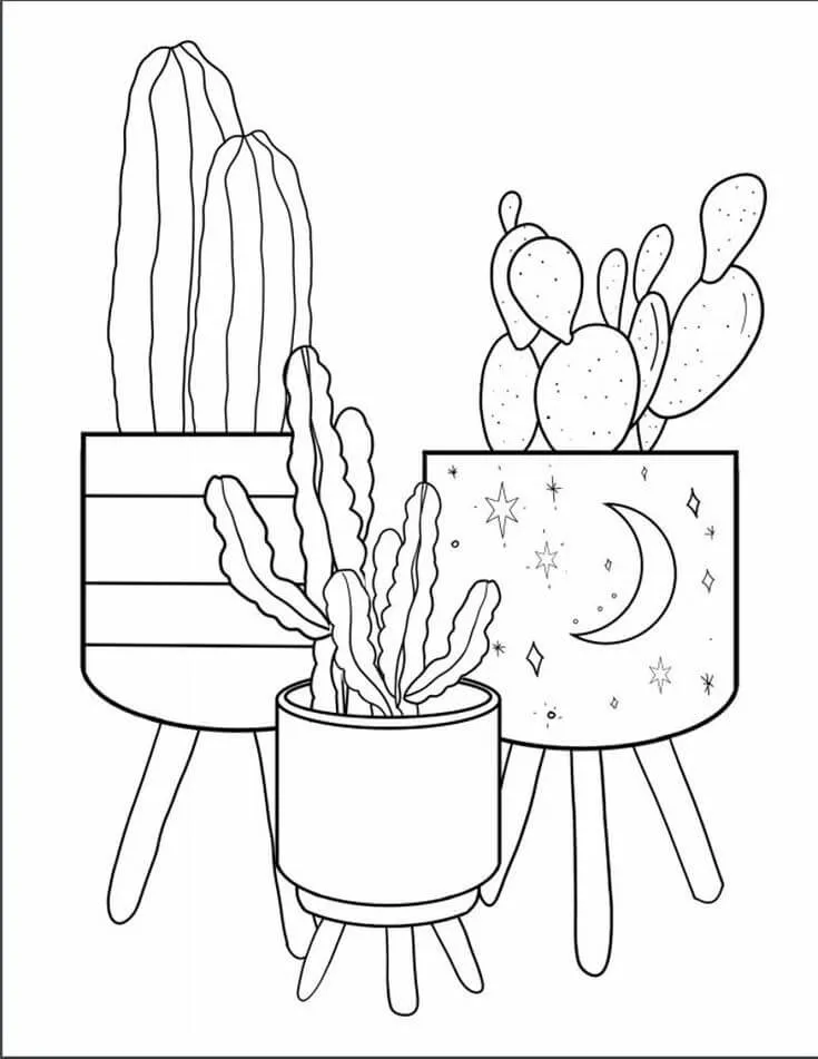 Cactus 7